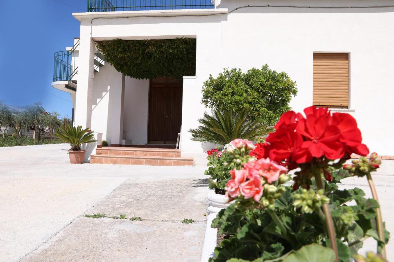 B&B Vannefora San Nicola Arcella Ngoại thất bức ảnh