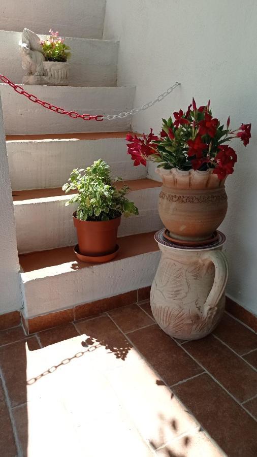 B&B Vannefora San Nicola Arcella Ngoại thất bức ảnh